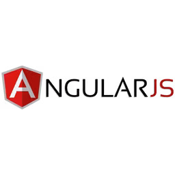 angular js solutions for developers